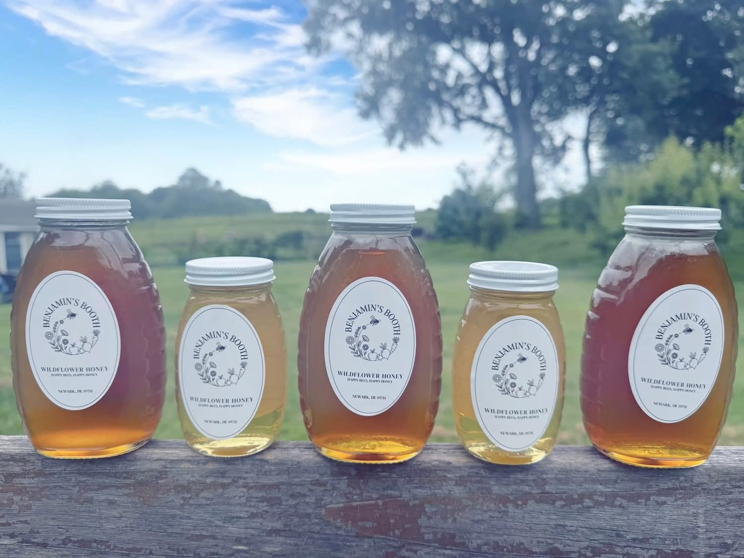 Local Delaware Honey for Sale in Newark Delaware 2025