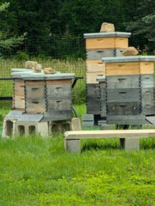 Newark Delaware Local Honey