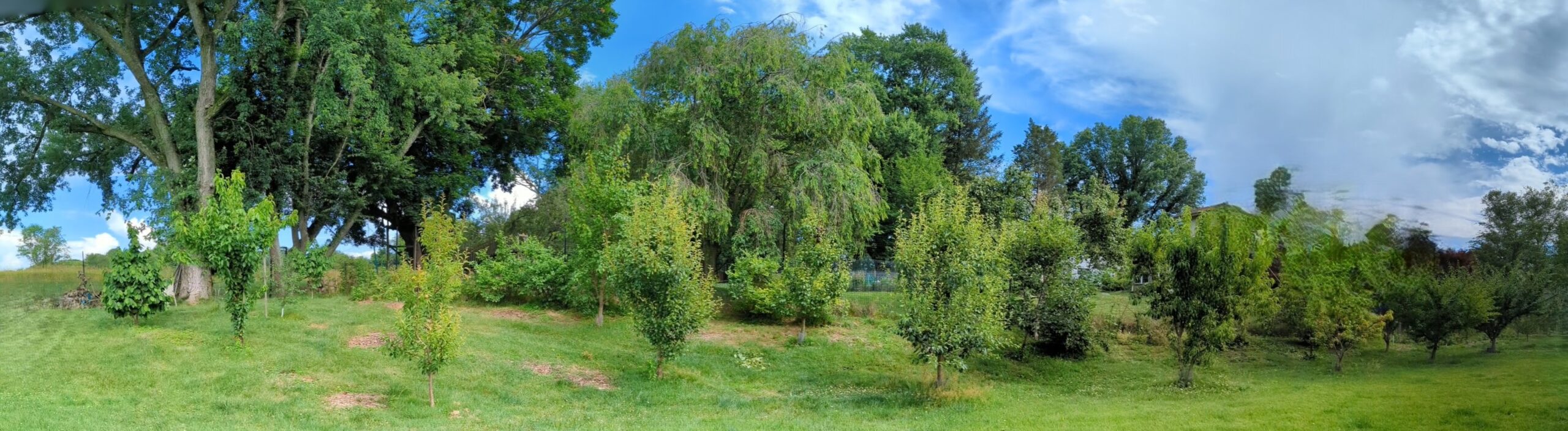 Orchard and Delaware Honey
