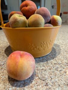 delaware peach
