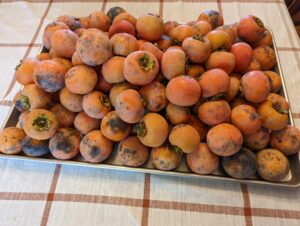 fresh fruit delaware