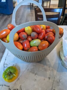 tomatoes in delaware fresh local