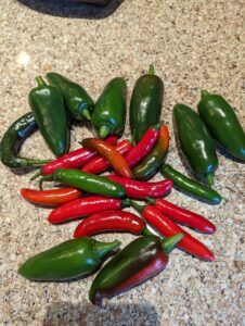 peppers for sale