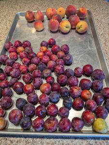 produce for sale in delaware