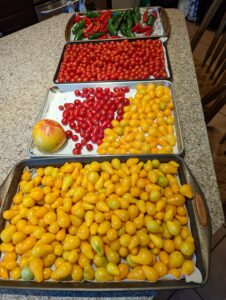 small batch produce